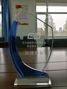 我院荣膺河北省软件与服务外包职教集团副理事长单位 推动软件开发人才培养新篇章